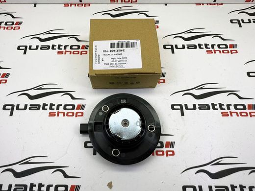 Магнит распредвала Audi A3 8V/ A4 B9/ A5 B9/ A6 C8/ A7 C8/ Q3 F3/ Q5 B9/ Q7 4M/ Q8 4M/ VW Golf 7 06L109259E, 06L 109 259 E фото